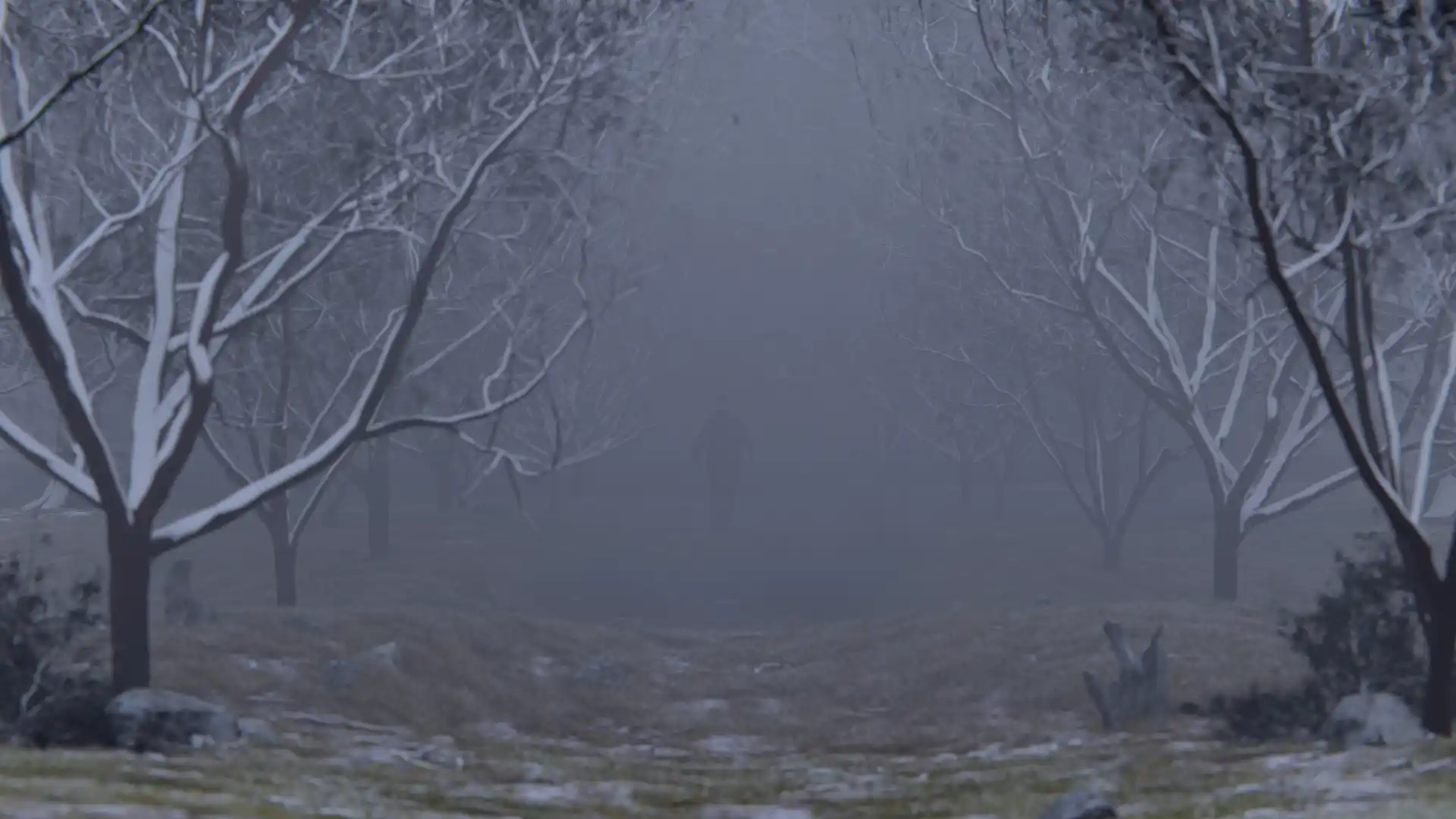Foggy Orchard